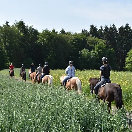 Ferienpension Zum Hochscheid 3*