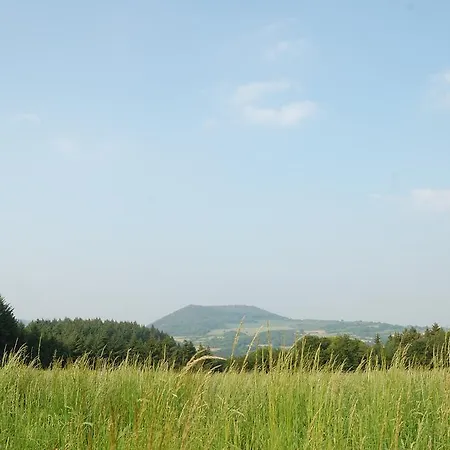 Ferienpension Zum Hochscheid Pensión